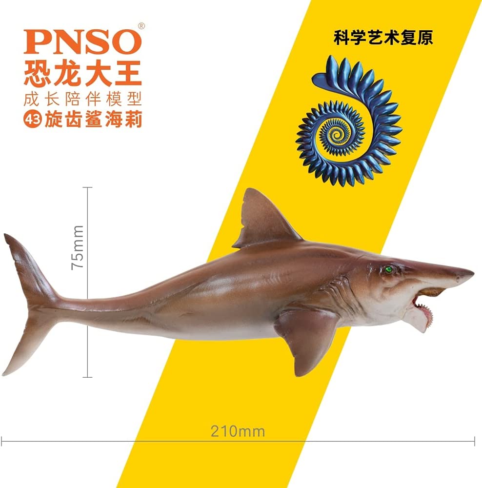 Helicoprion toy hotsell