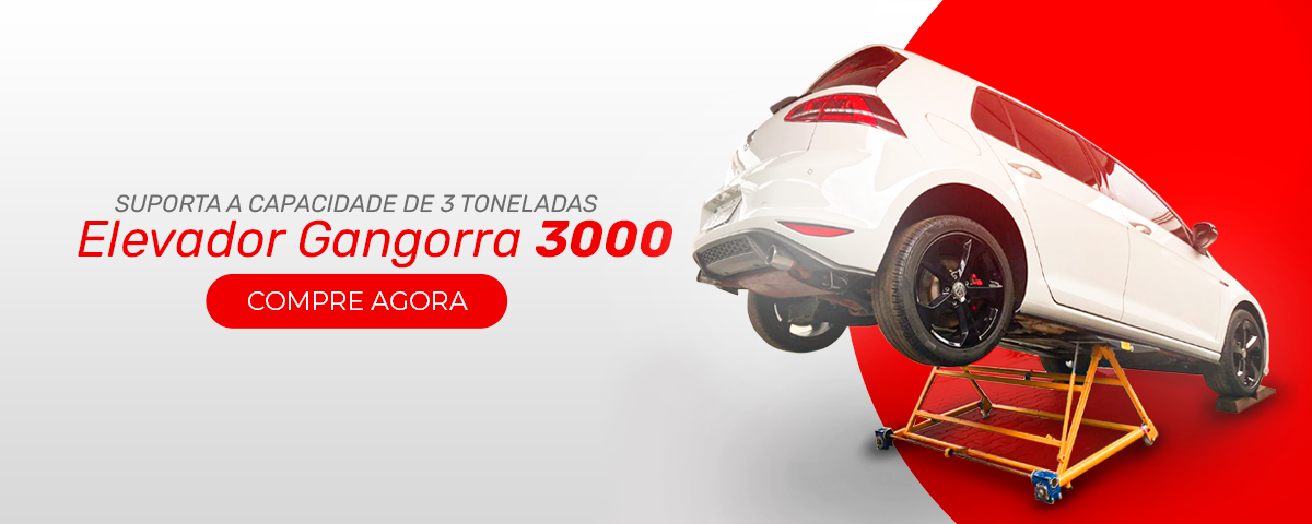 Lineker Brasil - Elevador Gangorra 3000