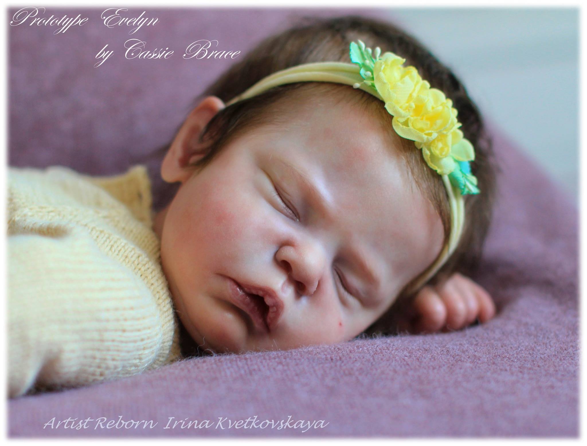 Kit 2024 evelyn reborn