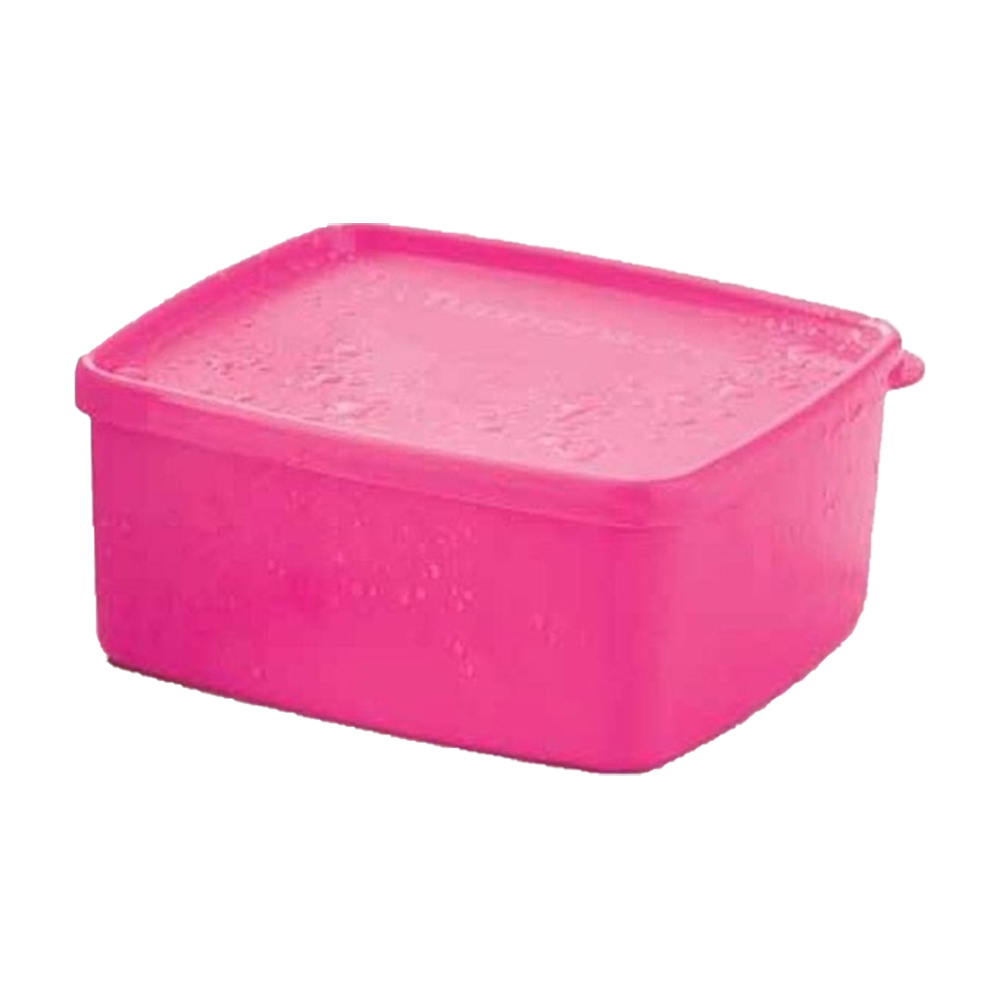 Kit Tupperware Jeitosinho 400ml Rosa Pink Translúcida 2 Peças - Comprar  Tupperware Online? Wareshop - Loja Mundo Tupperware