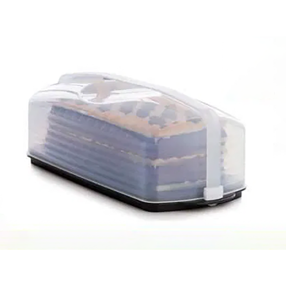 Retangular Micro Plus Tupperware Porta Bolo Retangular Plus Tupperware
